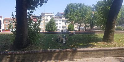 SICAKTAN BUNALAN VATANDAŞLAR PARKLARDA SERİNLEDİ