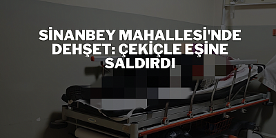 Sinanbey Mahallesi'nde Dehşet: Çekiçle Eşine Saldırdı