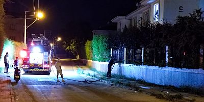 Site ağaçları ateşe verildi