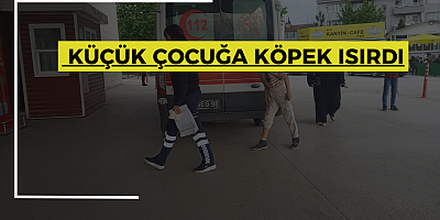 SOKAKTA TOP OYNAYAN KÜÇÜK KIZI KÖPEK ISIRDI