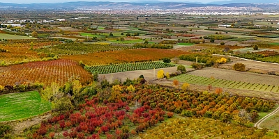 Sonbaharın renk cümbüşü Uludağ eteklerinde