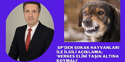 SP’den sokak hayvanları ile ilgili açıklama; ‘Herkes elini taşın altına koymalı’