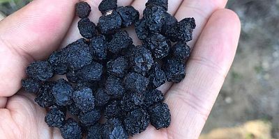 “SüPER MEYVE” iNEGöL’DE