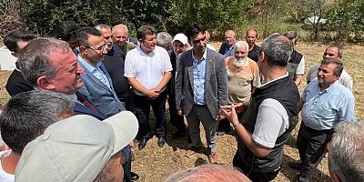 Tahtaköprü'de ilk bal hasadı heyecanı yaşandı