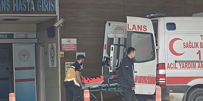 Tarlada Düşen Çiftçi Hastanelik Oldu
