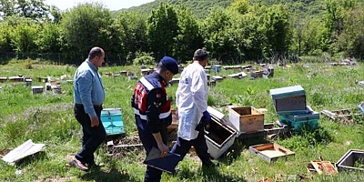 Tekirdağ'da araştırma için beslenen arı kovanlarını tahrip edenlerin yakalanması için çalışma başlatıldı