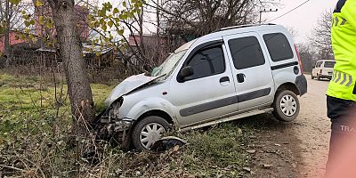 Ticari araç ağaca çarptı: 1’i çocuk 2 yaralı
