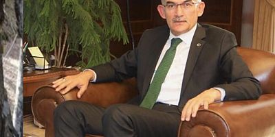 TIRTIL ZARARIYLA ORMANLAR YOK OLMAZ