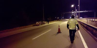 TRAFİK POLİSLERİ KOYUNLARI TELEF OLMAKTAN SON ANDA KURTARDI
