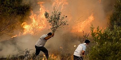 Turizm Bakanı Ersoy: Antalya, Bodrum ve Marmaris'teki yangınlar söndürüldü