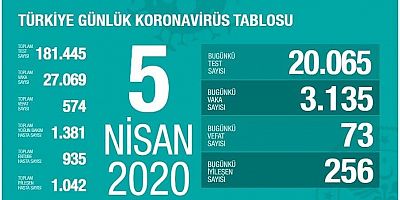 Türkiye'de virüsten can kaybı 574'e çıktı