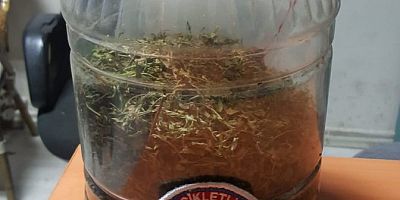 TURŞU BİDONUYLA UYUŞTURUCU SERVİSİ