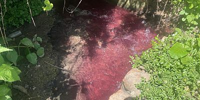 Turşu sulu renkli dereye çiftçiler de uzmanlar da tepkil