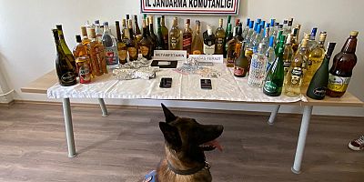 Uyuşturucu Madde Arama Köpeği 