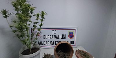 UYUŞTURUCU MADDE ELE GEÇİRİLDİ