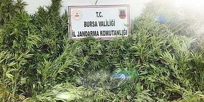 UYUŞTURUCU MADDE KAÇAKÇILARINA JANDARMA OPERASYONU 
