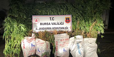 Uyuşturucu oparasyon da yakalanan şüpheli tutuklandı