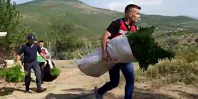 Uyuşturucu operasyonunda yakalanan şüpheli tutuklandı