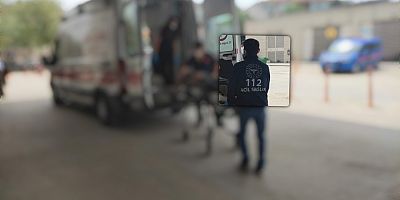 Üzerine tomruk devrilen kişi yaralandı 