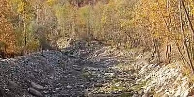 Vatandaş Tepkili: Süle Köyü Deresinde HES’in Su Salmaması Doğal Hayatı Tehdit Ediyor