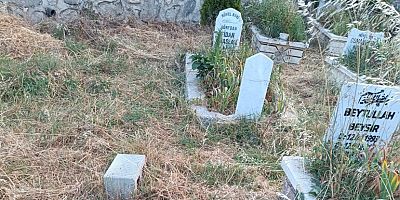 Vatandaşlardan Tepki: Mesudiye Mezarlığı Temizlenmedi