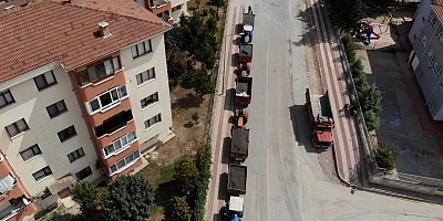 Yağlık ayçiçeği ekim alanını artıran çiftçiler hasattan memnun