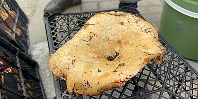 Yağmur yağdı, fiyatı 300 liradan 100 liraya düştü