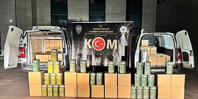Yalova'da 3 bin 995 litre sahte zeytinyağı yakalandı