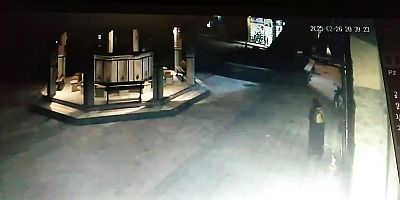 Devrilen çınarın altında kalmaktan son anda kurtuldu