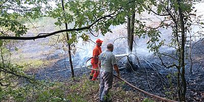 Yangın ormana sıçramadan söndürüldü