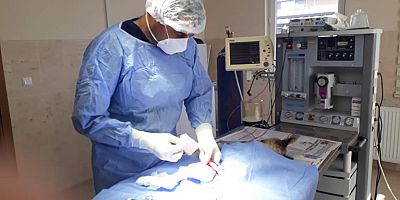 YARALI KÖPEK İNEGÖL'DE TEDAVİ EDİLDİ