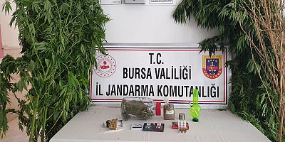 Yasa Dışı Ekim