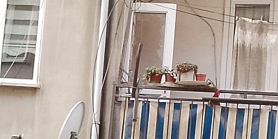 Yaşlı adam evinde ölü bulundu