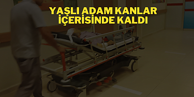 Yaşlı adam kanlar içerisinde kaldı