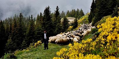 Yaylaları, dereleri, dağlarıyla İnegöl kırsalı, huzuru arayanların adresi oluyor