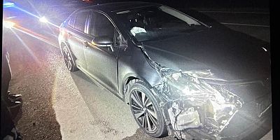 Yenişehir-Bursa Yolunda Otomobil Ayıya Çarptı