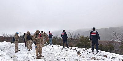 Yenişehir'de kaybolan büyükbaş hayvanları jandarma ekipleri buldu