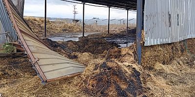 Yenişehir’de samanlık yangını: 6 bin balya kül oldu