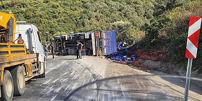 Yenişehir-İznik Yolunda Feci Kaza: Kamyon Devrildi, 1 Kişi Hayatını Kaybetti