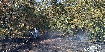 Yenişehir ve Söğüt'teki orman yangınlarında İnegöl ekipleri seferber oldu