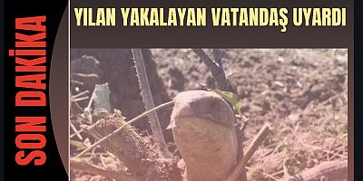 YILAN YAKALAYAN VATANDAŞ UYARDI