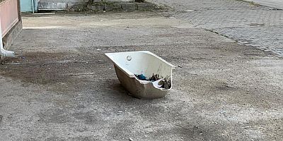 “Yine bizi aramadınız”