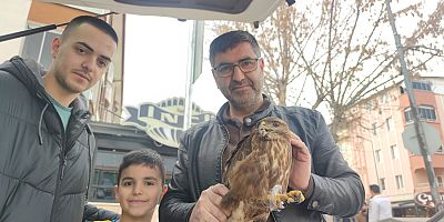 Yol karında bulunan yaralı yavru şahin İnegöl’de tedavi altına alındı