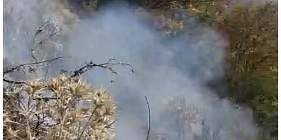 Yol kenarında ateşe verilen çöplerden çıkan alevler yeşil alana sıçradı