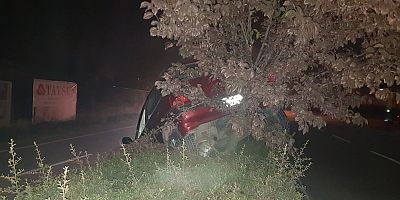 Yoldan çıkan araç askıda kaldı