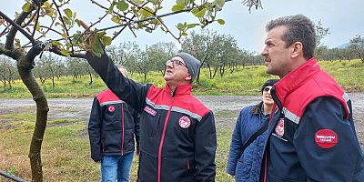 Zirai donla mücadelede 