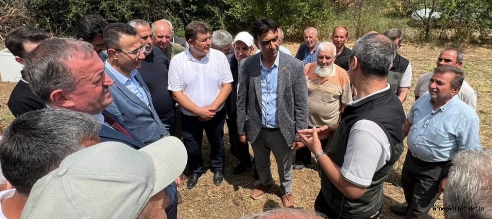 Tahtaköprü'de ilk bal hasadı heyecanı yaşandı