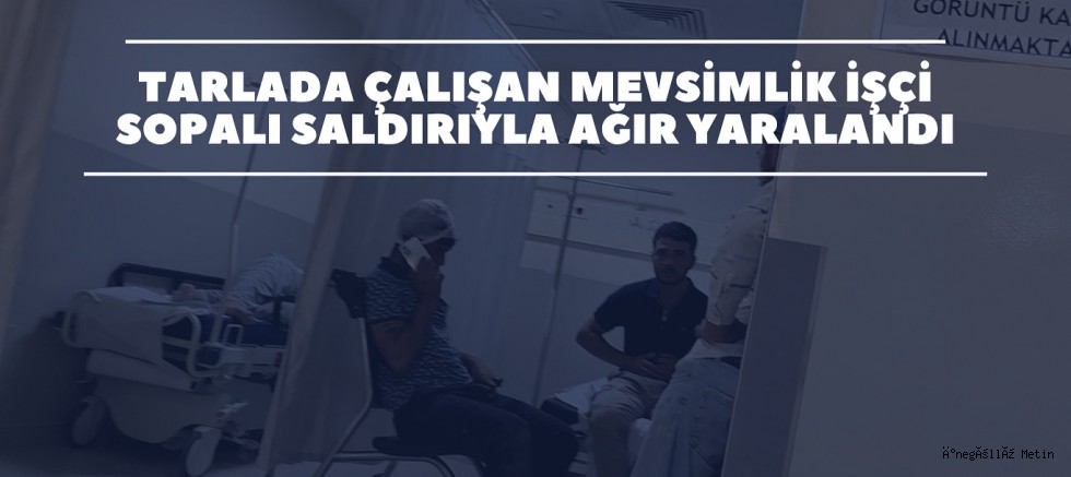 TARLADA ÇALIŞAN MEVSİMLİK İŞÇİ SOPALI SALDIRIYLA AĞIR YARALANDI